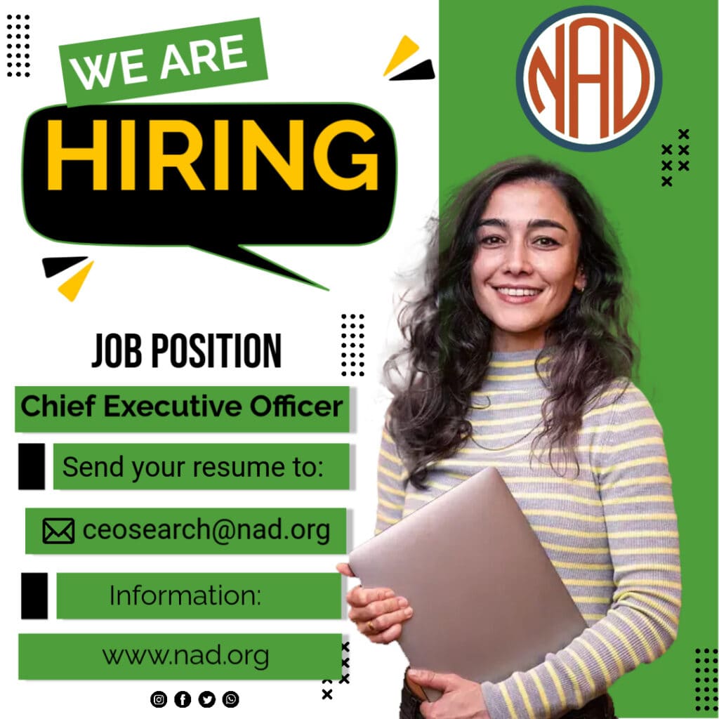 Job Position Chief Executive Officer