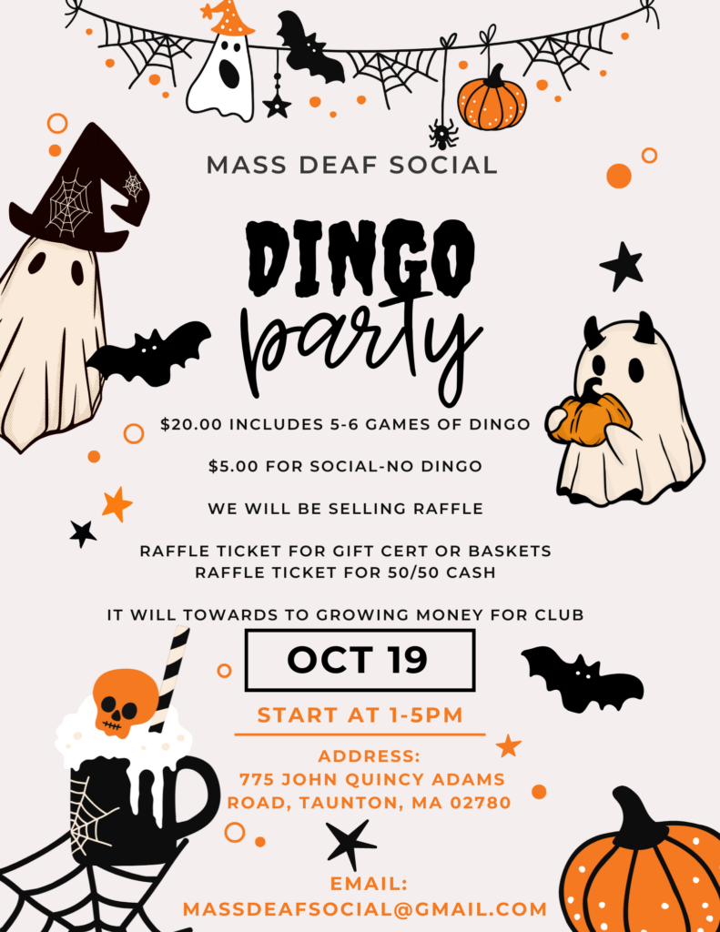 DINGO PARTY
