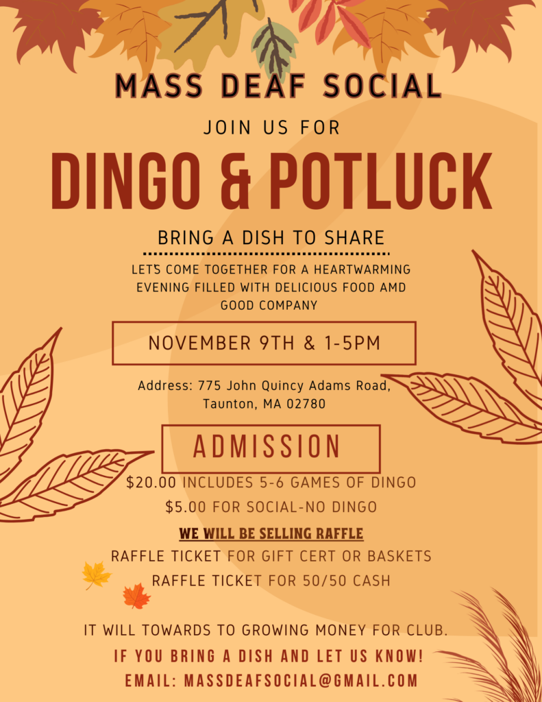 DINGO & POTLUCK