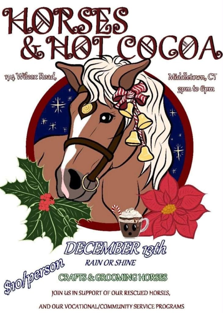 Horses & Hot Cocoa